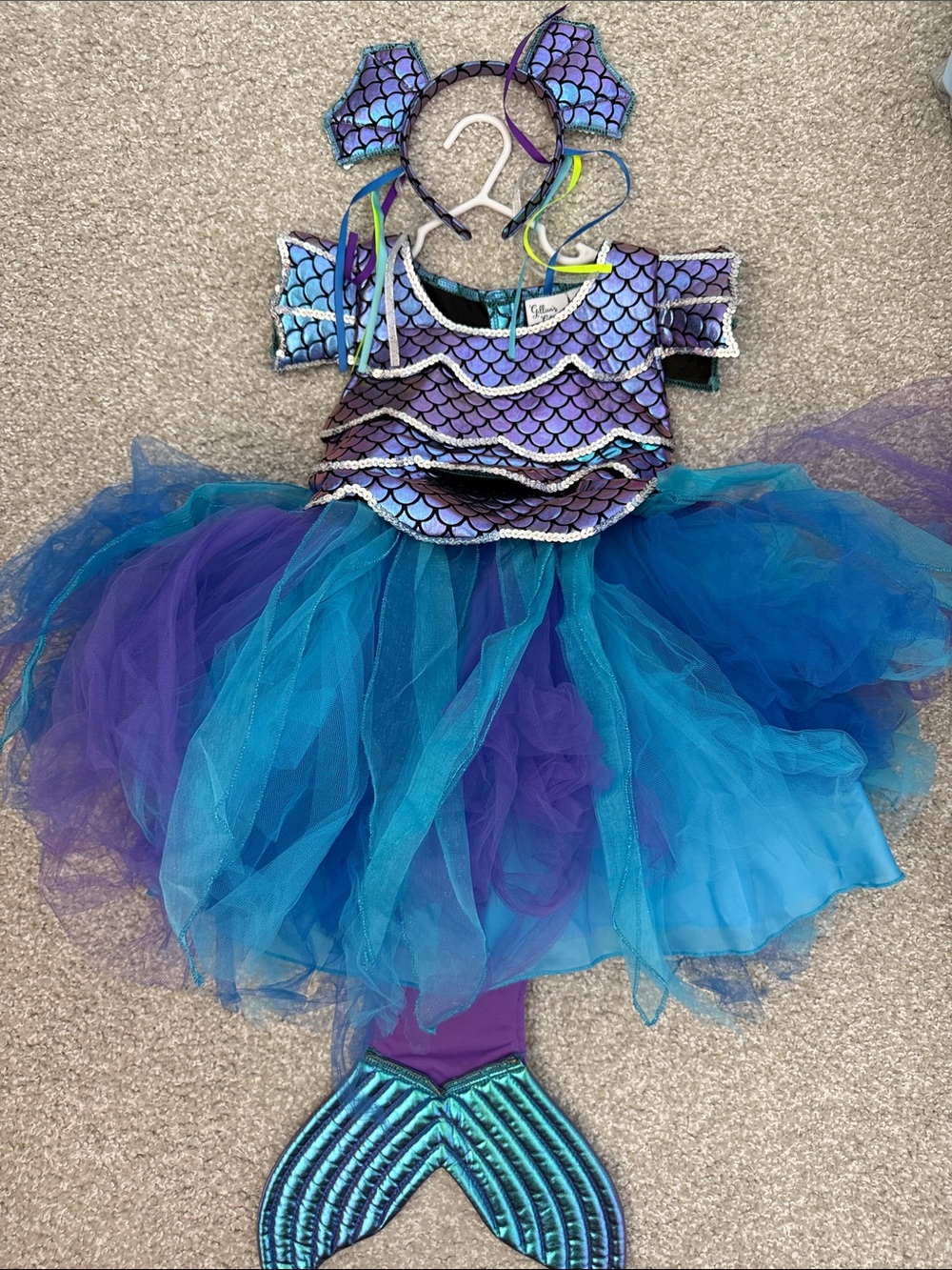 Gillian’s closet Fish costume